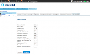 services-bluemind-console-administration