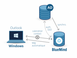 schema-windows-9e805 (1)